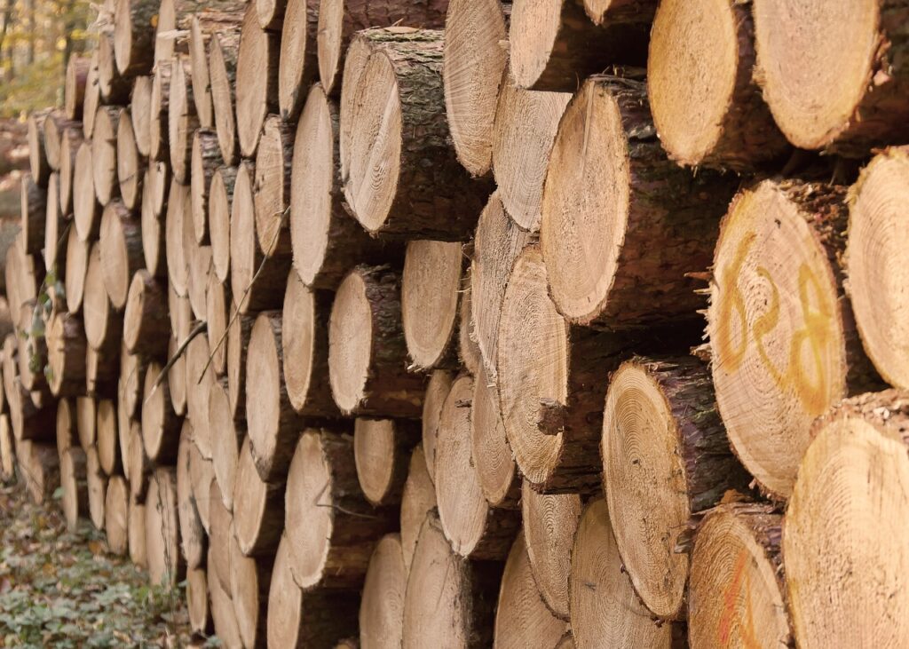 wood trunks, forest, tribes-1032461.jpg